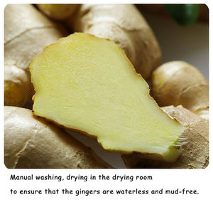 顶级中国风干鲜姜 - Product Image 3