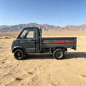 Mini camionnette électrique EEC moderne 1000 kg, véhicule utilitaire électrique <span class=keywords><strong>2</strong></span> places, couleurs personnalisables SKD, véhicule de transport électrique pour adultes - Product Image 4