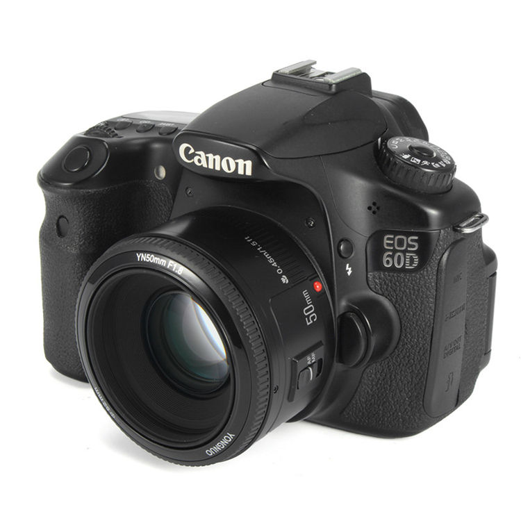Canon EOS 77D Versatile DSLR Camera with Premium Lenses