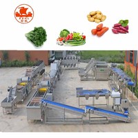 Volledige Automatische Schoon Wortel Bladgroenten Groente Asperges Wassen Verwerking Lijn/Fruit Wassen Productielijn