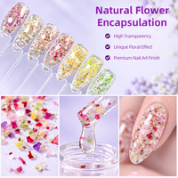 Gel de Construction pour Ongles Transparent Effet Cristal, Gel de Construction pour Encapsulation de Fleurs, Gel UV LED pour Nail Art OEM ODM