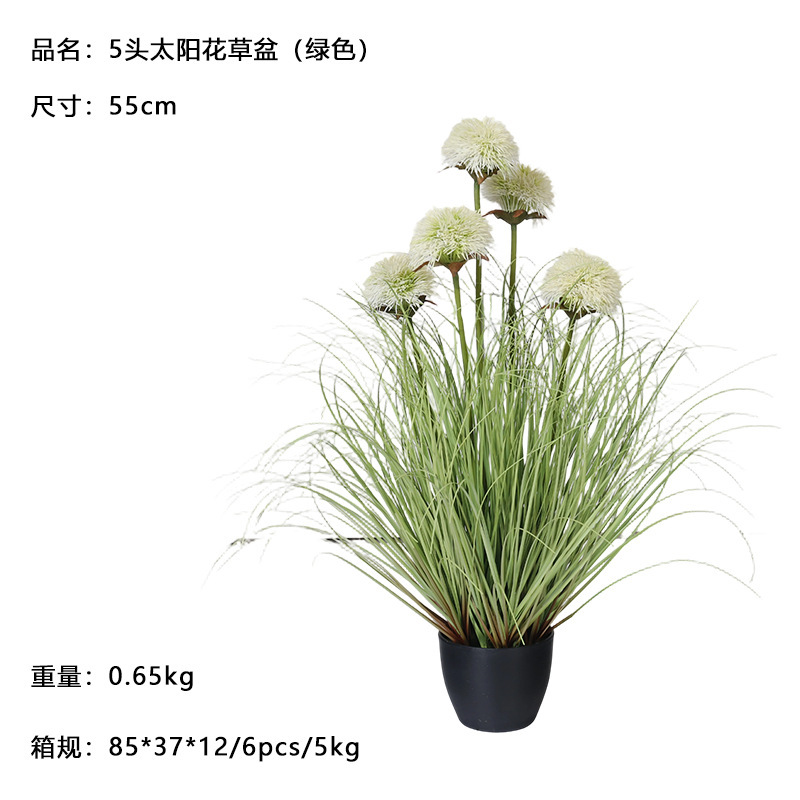 55cm potted sunflower (5 heads) in green