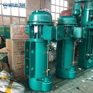 Paranco Elettrico Personalizzato Weiyuan a Catena Singola e Doppia con Gancio per Operazioni di Sollevamento Fluide, Utilizzato per Gru - Product Image 6