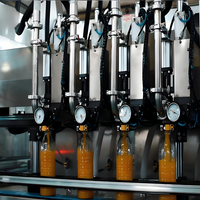 Kleinschalige Geïntegreerde Geautomatiseerde Sapbottellijn Bier Wijn Mineraalwater Verwerkingsapparatuur Met Hoge Capaciteit