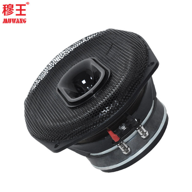 6inch Professional Audio Outdoor Speaker Sound System Stage Speaker Wholesale OEM WL69100TH