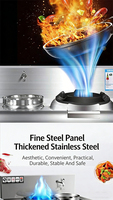 Table de cuisson encastrable en acier inoxydable, convertible gaz naturel/électrique, avec allumage électrique à impulsion automatique et protection contre l'extinction de la flamme, pour wok chinois