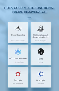 2025 trend özelleştirmek güzellik ürünleri sıcak ve soğuk yüz cihazı Microcurrent yüz tonlama enstrüman yüz kaldırma masaj - Product Image 6