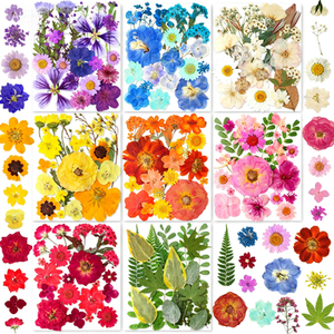 <span class=keywords><strong>Flores</strong></span> Secas para Manualidades, <span class=keywords><strong>Flores</strong></span> Naturales Prensadas para Resina, Arte DIY, Joyería, Fabricación <span class=keywords><strong>de</strong></span> Velas y Jabones - Product Image 6