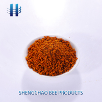 Pollen d'abeille frais, pollen de fleurs variées, vente en gros en vrac