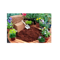 Vente en gros d'usine Bloc de tourbe de coco biologique de haute qualité 650g 1kg 5kg Brique anti-poussière 100% noix de coco biologique pour jardin à bas prix