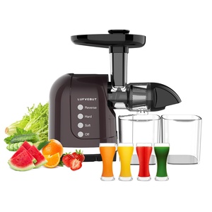 เครื่องสกัดน้ำผลไม้แบบเย็น 3 in 1 กำลังไฟ 250 วัตต์ พร้อมวัสดุปลอดสาร BPA - Product Image 4