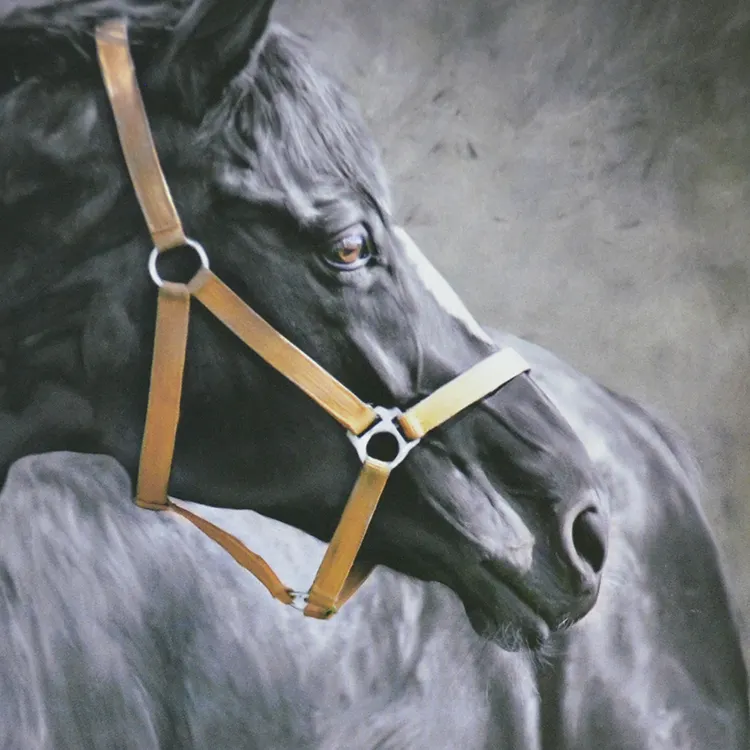 カスタマイズされた馬の頭のパターン壁画紙の背中または服の背中