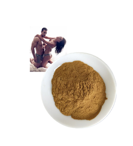 ผงคนแข็งแรงเวลาล่าช้า - Product Image 1