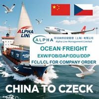 Transitaire maritime Chine-République tchèque, Agent d'expédition EXW FOB DDP DAP DDU, Service porte-à-porte pour commandes d'entreprise uniquement avec transport par camion