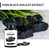 Tabletas de Shilajit del Himalaya de Grado Alimenticio FocusHerb OEM, Certificación ISO 9001, Dos Años de Vida Útil en Envase de Botella