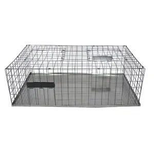 Humane Live Capture Collapsible Bird Cage Traps For Sale