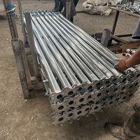 Étai en acier galvanisé haute résistance pour échafaudage, support réglable pour la construction de bâtiments et le soutènement de béton lourd