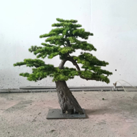 Plante Artificielle Bonsaï, Pin Spirale Artificiel, Plantes Artificielles d'Extérieur pour Jardin Japonais, Types de Pains Artificiels