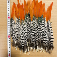 Plumes de faisan Lady Amherst rouges pour costumes de carnaval, chapeaux de danse Samba, accessoires de spectacle de festival