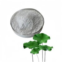 Extrait de feuille de lotus de haute qualité fourni par l'usine, poudre de nuciférine 98%