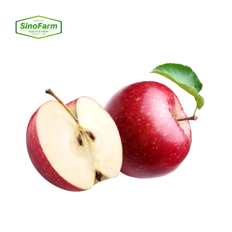 Mela rossa fresca fuji frutta mele naturali fresche produttori di mele fresche