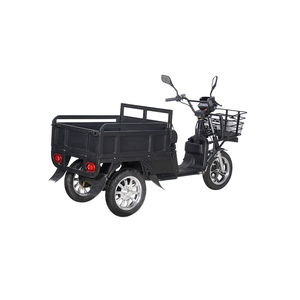 Conception personnalisée Tricycle <span class=keywords><strong>solaire</strong></span> <span class=keywords><strong>électrique</strong></span> à 3 roues Cargo Truck Trade Motorcycle Bike <span class=keywords><strong>Prix</strong></span> - Product Image 4