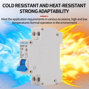 CHRMSHDG 开关交流断路器 DZ30-32 主开关直流断路器 LANGTONG ELECTRIC - Product Image 3