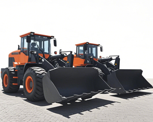 Develon Wiellader Sd200n 1.7m ³ Bakcapaciteit 3 Ton Nuttige Lading Met Hete Verkoop - Product Image 1