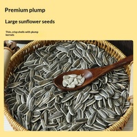 Nouvelles graines de tournesol et de melon séchées anciennes 500g Guangdong Original Grand format Parfumées Boîte entière Collations de mariage Lot