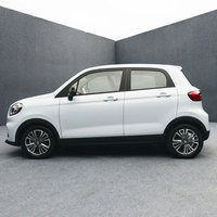 Voiture électrique pure Leapmotor Lingpao T03 2023, batterie au lithium-fer-phosphate, transmission à simple vitesse, autonomie 403 km (CLTC), 5 portes