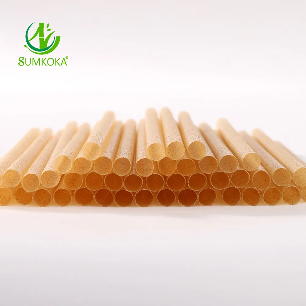 Sedotan Biodegradable Agave Sugarcane Bagasse ramah lingkungan Sedotan sekali pakai gula Pla sedotan Biodegradable