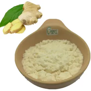 Extrait de racine de gingembre Gingerols poudre 5% 20% 6-gingerol 98% oléorésines de gingembre 25% 50%