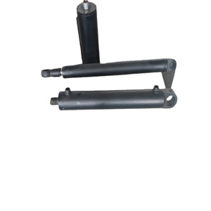 Cilindros Hidráulicos RuiYing de Acción Simple, Acero/Acero Inoxidable, Colores Personalizados, 1 Año de Garantía, 16MPA, Venta Directa - Product Image 2