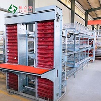 U-Best Nouvelles cages automatiques de type H pour poules pondeuses en acier galvanisé à chaud pour élevages avicoles