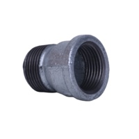 Raccords de tuyauterie en fonte malléable galvanisée, douille M&F, raccords de tuyauterie en fonte GI, matériaux de plomberie pour la connexion de tuyaux d'eau et de gaz