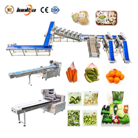 Machine de lavage de patates douces pour un nettoyage en profondeur du sol, machine de découpe et d'emballage de pommes de terre, ligne de nettoyage et de calibrage de pommes de terre
