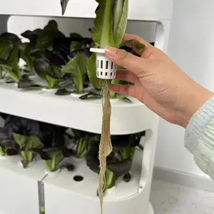 Balkon Planten Groenten Bloemen En Groene Pot Familie Verticale Hydrocultuur Toren Intelligente Plantaardige Planter