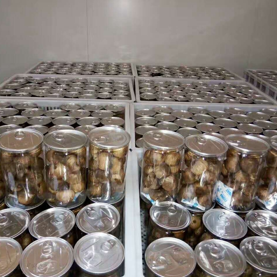 black garlic freeze dried