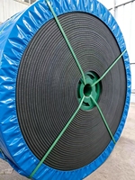 Bande transporteuse plate en caoutchouc ignifuge à 3 plis de 650 mm, 24 MPa pour l'exploitation minière du charbon, découpe et moulage sur mesure disponibles