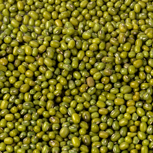Fresh Dried Indian <b>Green</b> Moong <b>Beans</b> Premium Grade Whole Mung Pulses 24 Months Shelf Life Bulk for Global Food Manufacturers - Product Image 1
