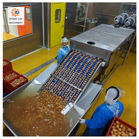 Ligne de transformation de liquide d'œuf clé en main avec système de nettoyage CIP et équipement de production d'œufs pasteurisés pour boulangerie