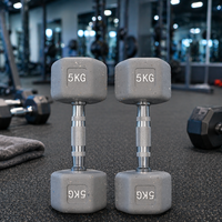 Haltères hexagonaux noirs personnalisés pour la musculation, en fonte, avec revêtement en caoutchouc, haltères hexagonaux de 2,5 à 5 kg