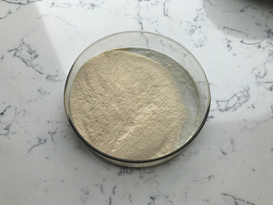 Preço Competitivo para Pó de Enzima Invertase - Product Image 5