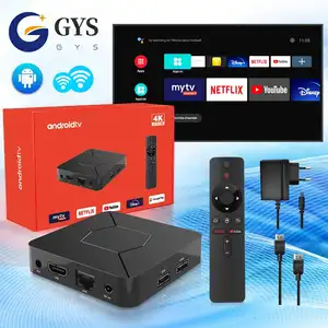 OEM Anpassen Android 10 Dual WIFI BT OTT 2GB 8GB H313 Sprach assistent Remote Android TV Box