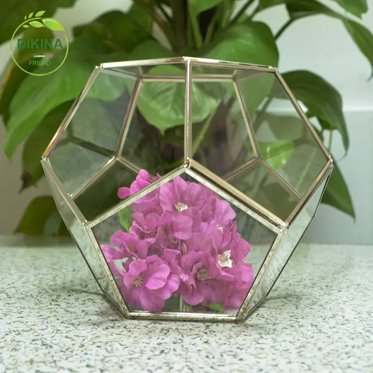 Clear แขวนตกแต่งบ้านขายส่ง Cube Geometric พืชทองเหลืองทองแก้ว Terrarium ขนาดเล็ก