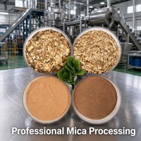 Bubuk Mika Sintetis Putih 1250 Mesh & 2500 Mesh untuk Produsen Cat Menyediakan Diskon Besar