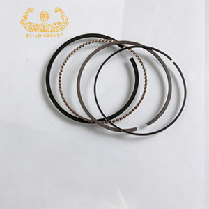 Vente en gros de pièces automobiles Guangzhou LR006264 Segments de piston pour Land Rover <span class=keywords><strong>Discovery</strong></span> <span class=keywords><strong>3</strong></span> 2005-2009 <span class=keywords><strong>Discovery</strong></span> 4 2010-2016 4.0L <span class=keywords><strong>V6</strong></span> Essence - Product Image 5