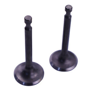 Vanne de motoculteur mini 168F à succès – Pièces d'origine pour générateur à essence et pompe à eau : soupapes d'admission et d'échappement et tappets - Product Image 1