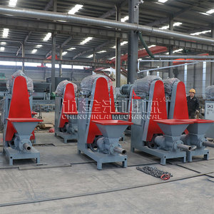 Ligne de production de briquettes de biomasse à base de coques de noix de coco, presse extrudeuse à vis, four de carbonisation - Product Image 2