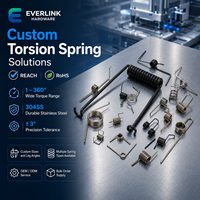 Resorte de Torsión Personalizado de Precisión con Rango de Torque de 1 a 360 Grados y Formas de Extremos Adaptadas para Suministro de Ensamblaje de Hardware OEM